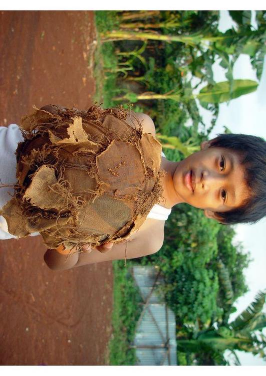 Fútbol