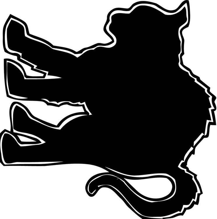 Gato negro