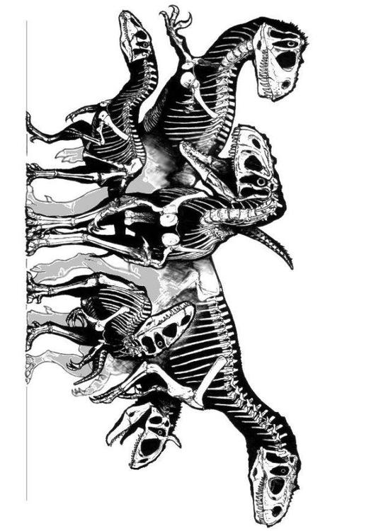 Grupo de esqueletos de dinosaurios