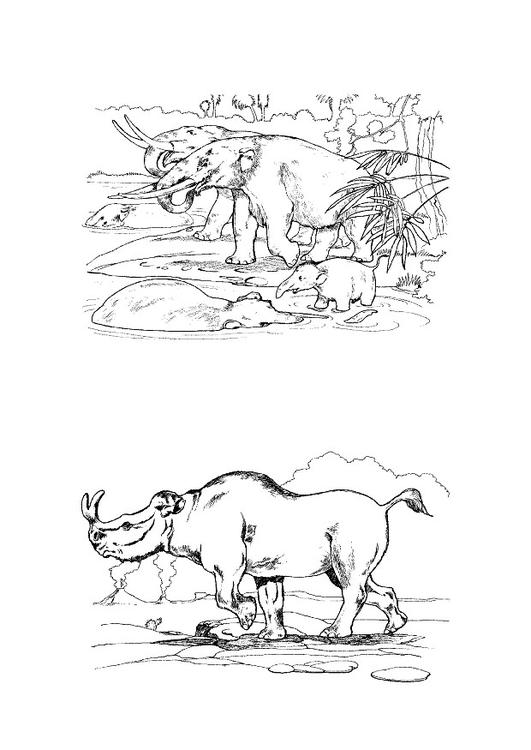 Hervíboros