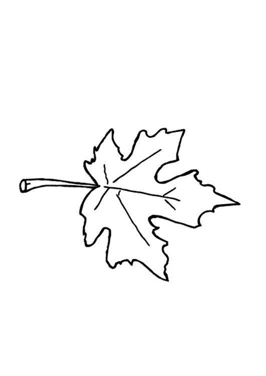 Hoja de otoño