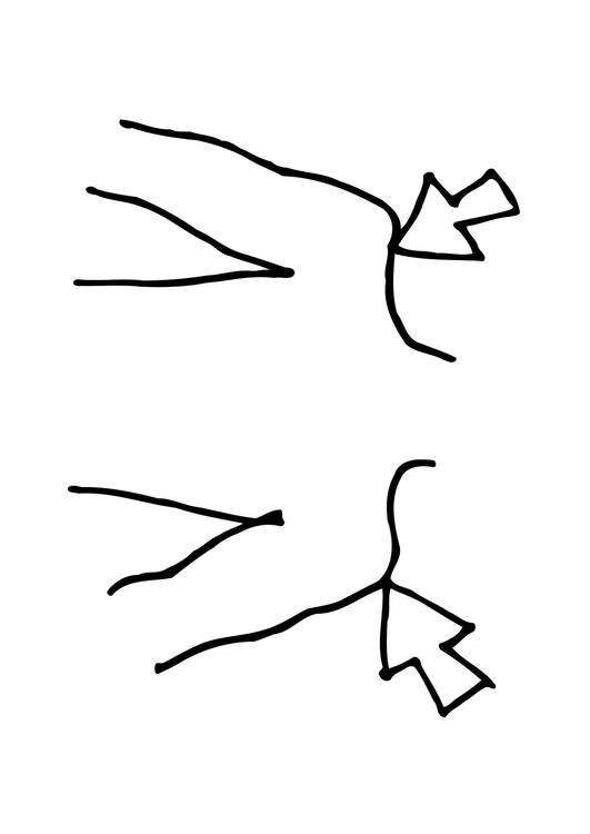 Hombros