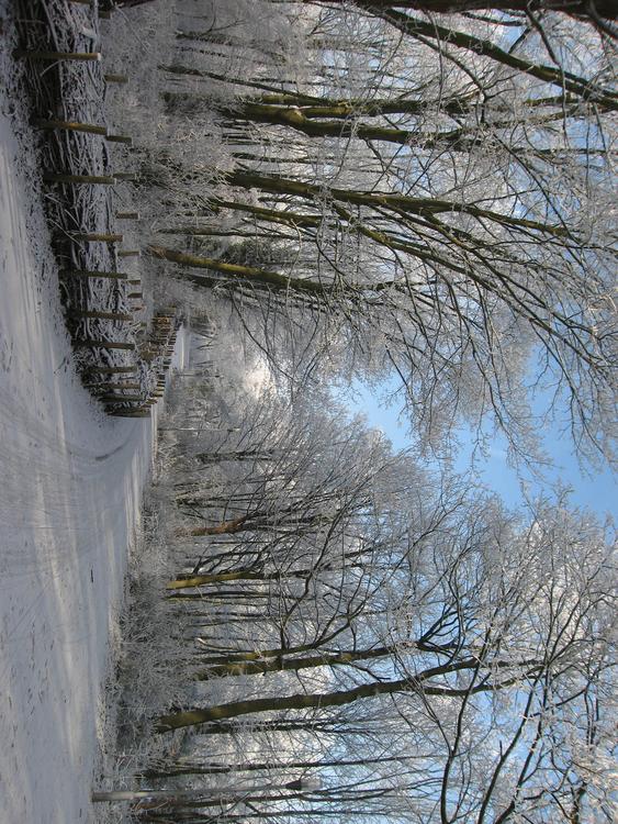 Invierno