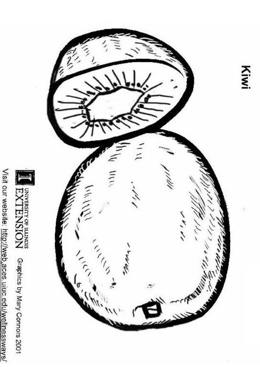 Kiwi