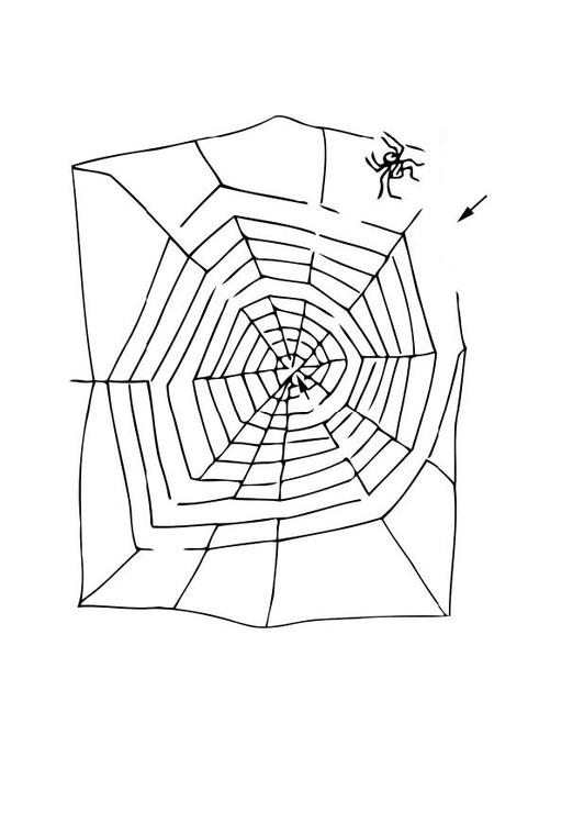 Laberinto de araña