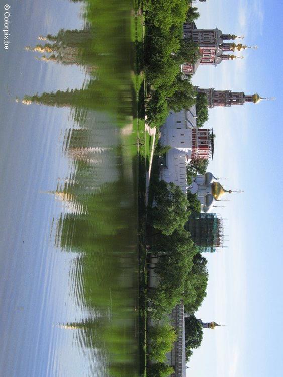 Lago de cisnes