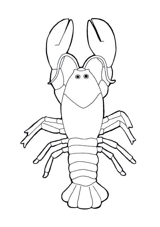 Langosta