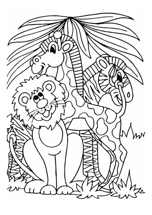 León, jirafa y cebra