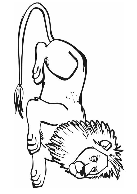 León