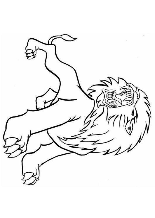 León