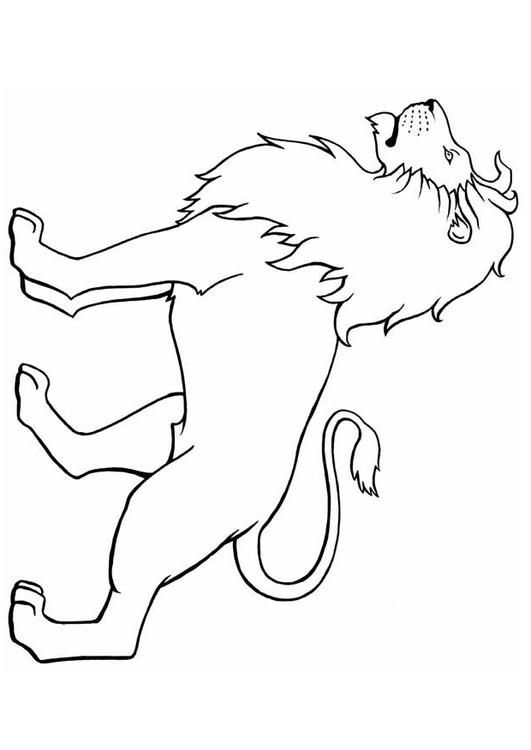 León