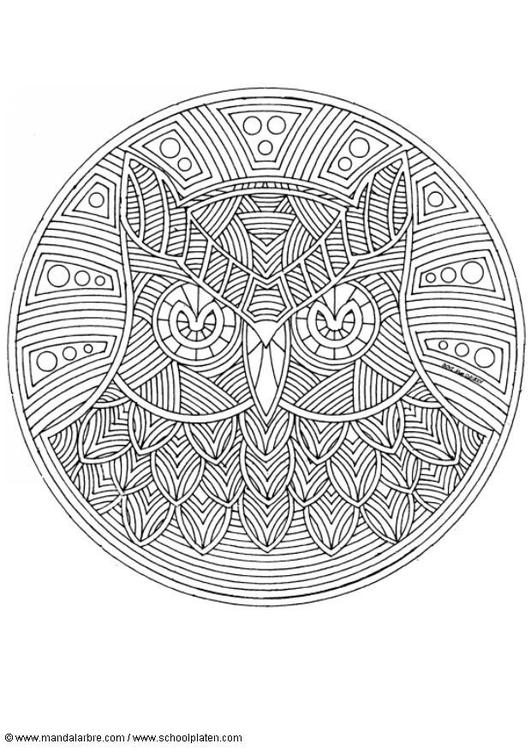 Mandala búho