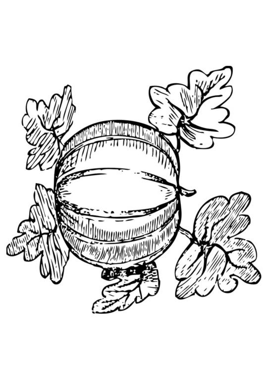 melón