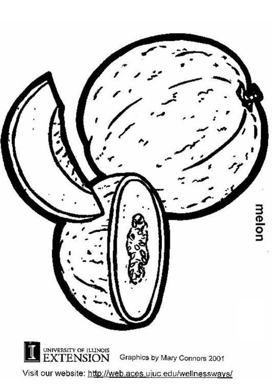 Melón