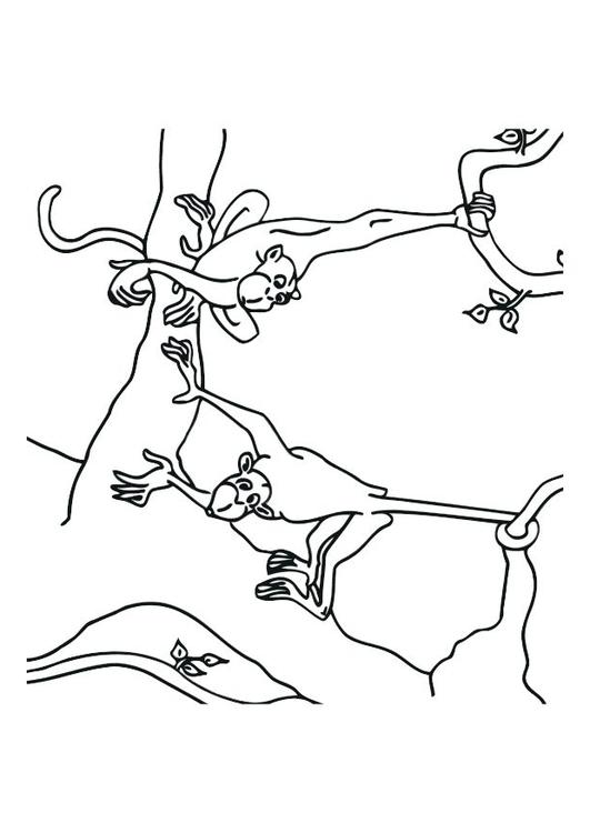 Monos