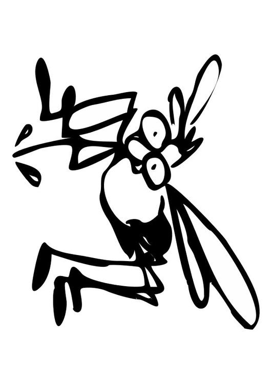 Mosquito