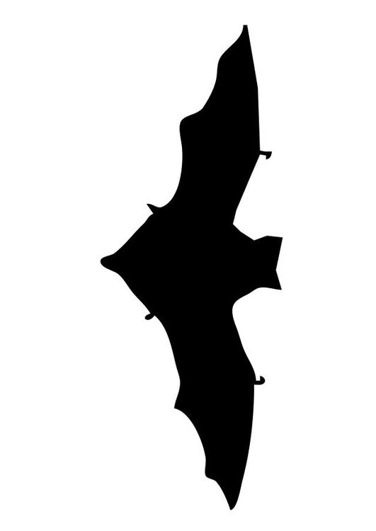 Murciélago