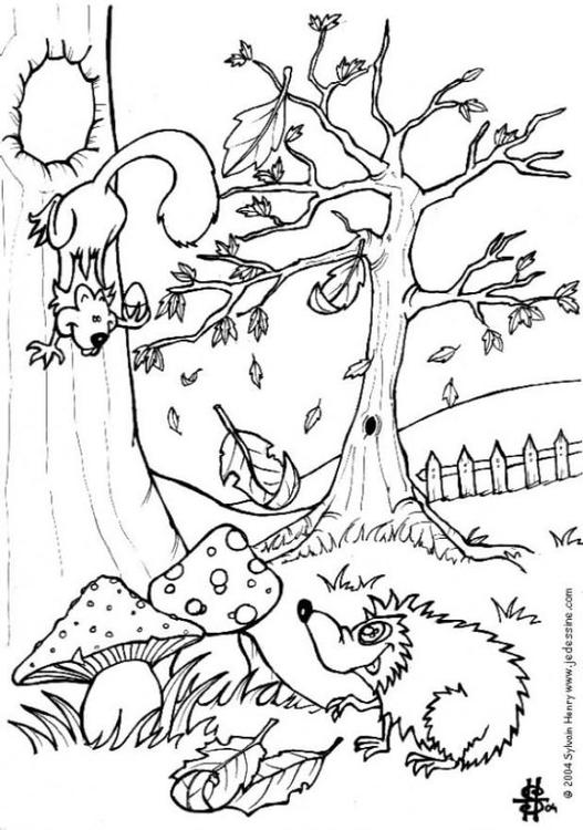 Otoño - erizo y ardilla