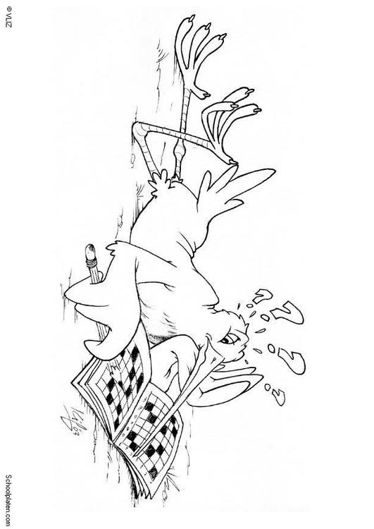 Pájaro con crucigrama