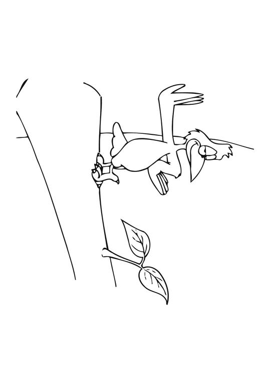 Pájaro