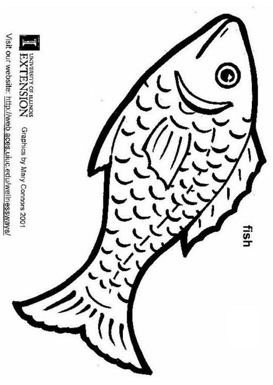 Pescado