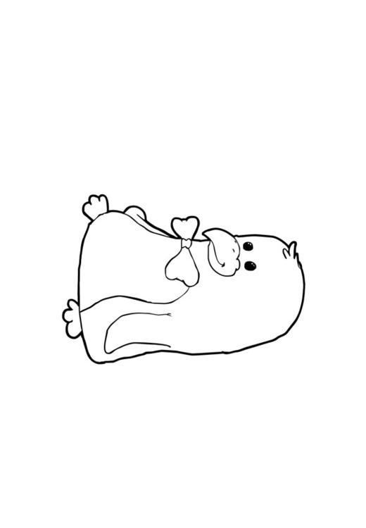 Pingüino
