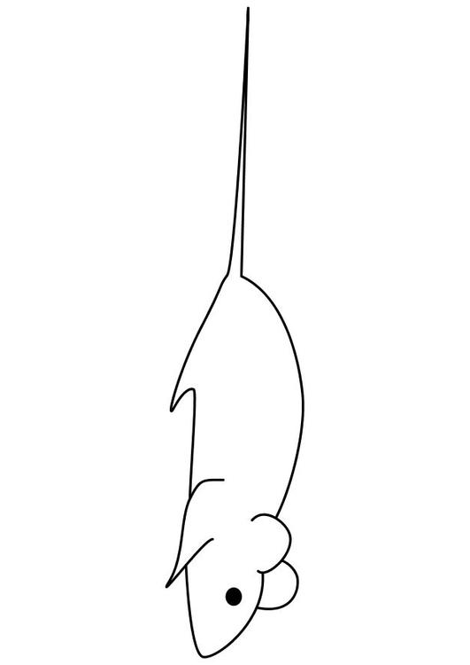 Ratón