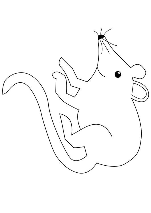 Ratón