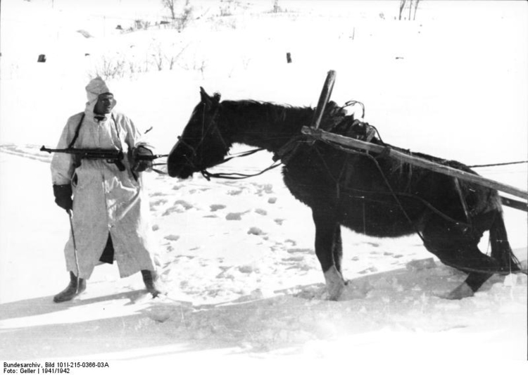 Foto Rusia - soldados con caballo en el invierno