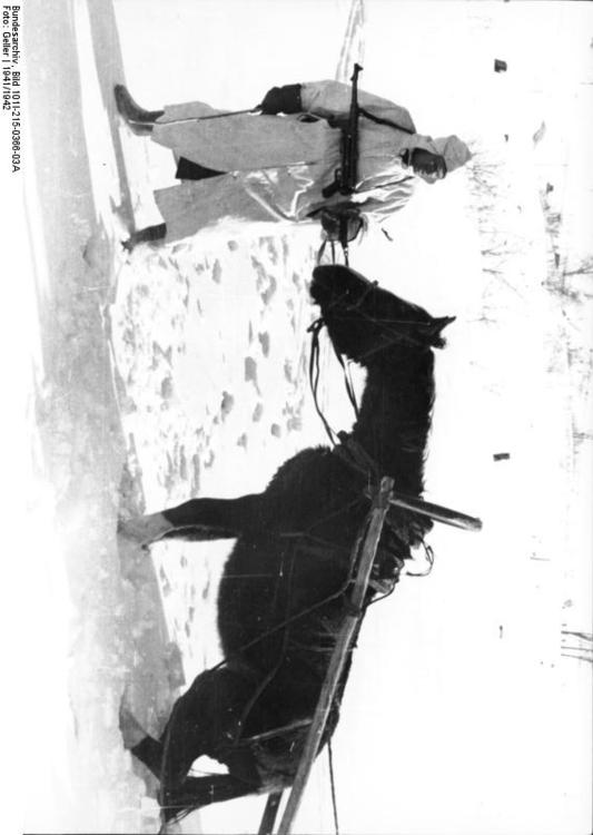 Rusia - soldados con caballo en el invierno