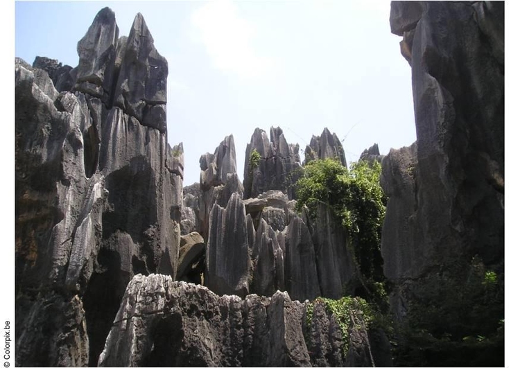 Foto Selva de piedra Kunming