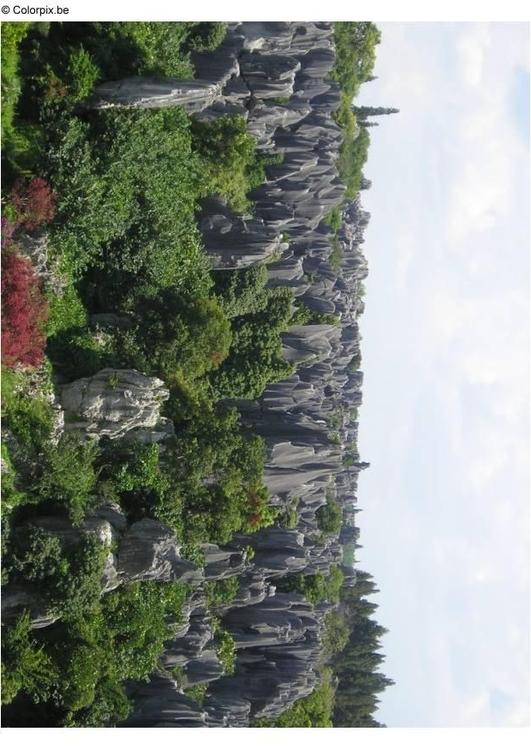 Selva de piedra Kunming