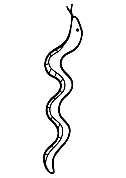Serpiente