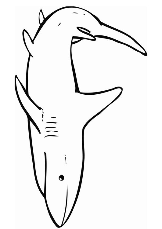 Tiburón