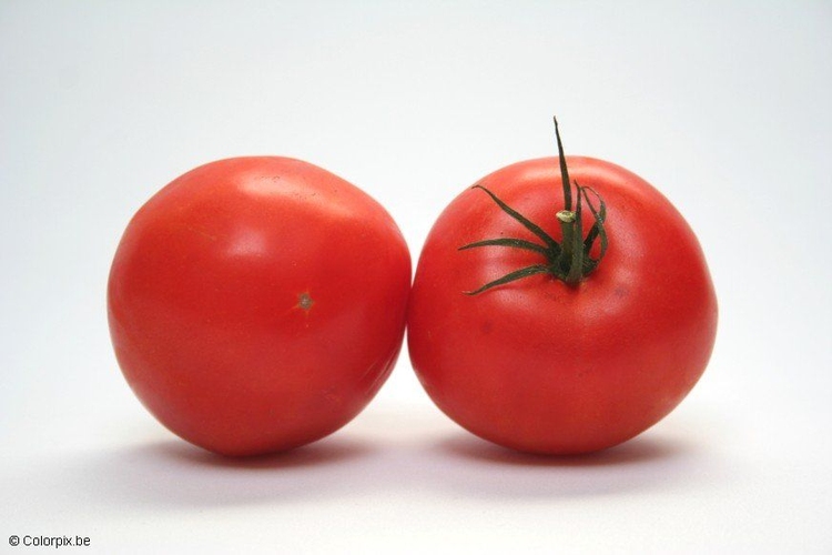 Foto Tomates