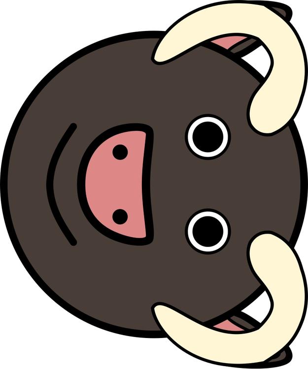 Toro