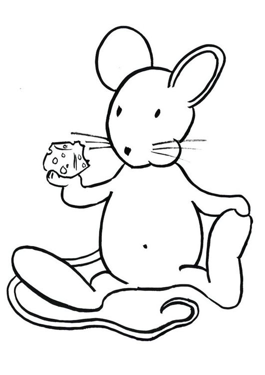 Transi, el conejo