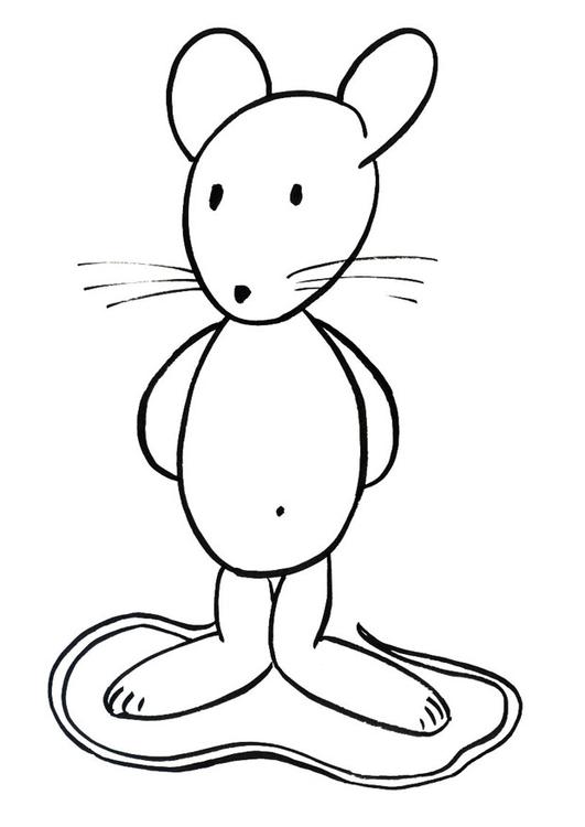 Transi, el conejo