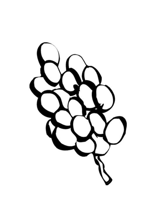 Uvas