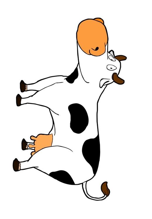 Vaca