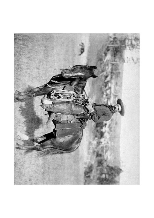 Vaquero aproximádamente en 1887