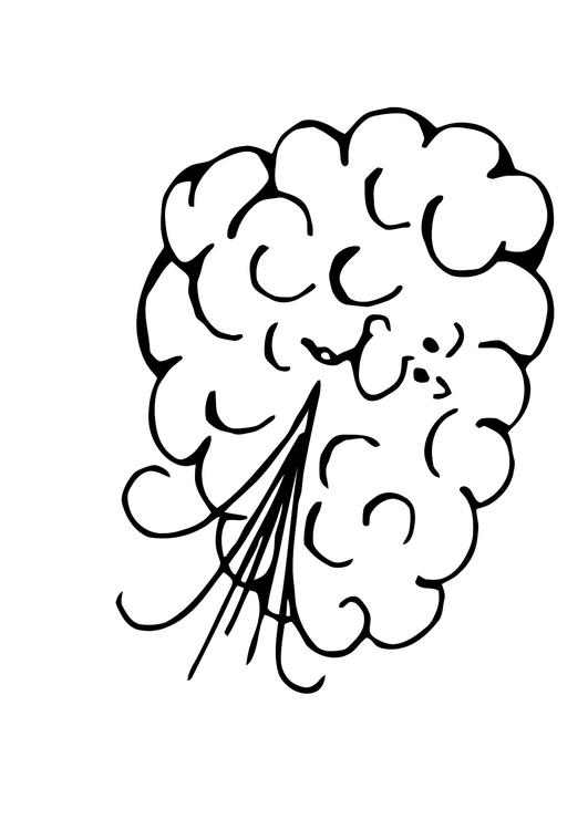 Viento