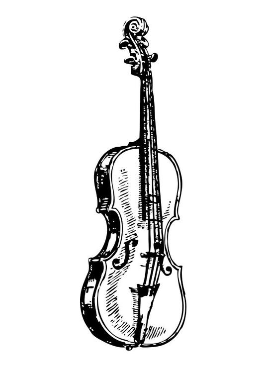 Violín
