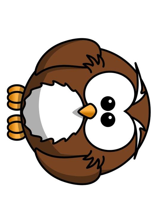 z1 - búho