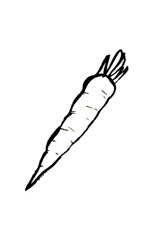 Zanahoria