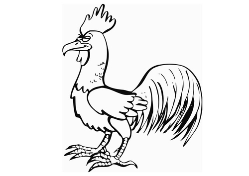 Gallo