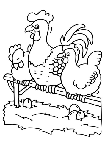 Gallo