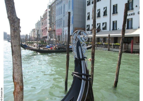 Foto Góndolas, Venecia
