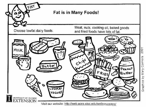 Grasa en nuestra alimentación