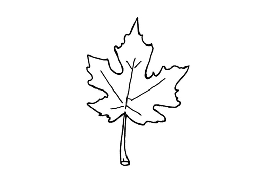 Hoja de otoño